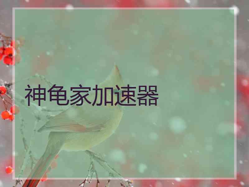 神龟家加速器