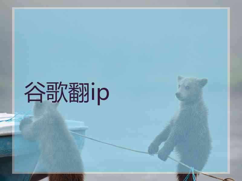 谷歌翻ip