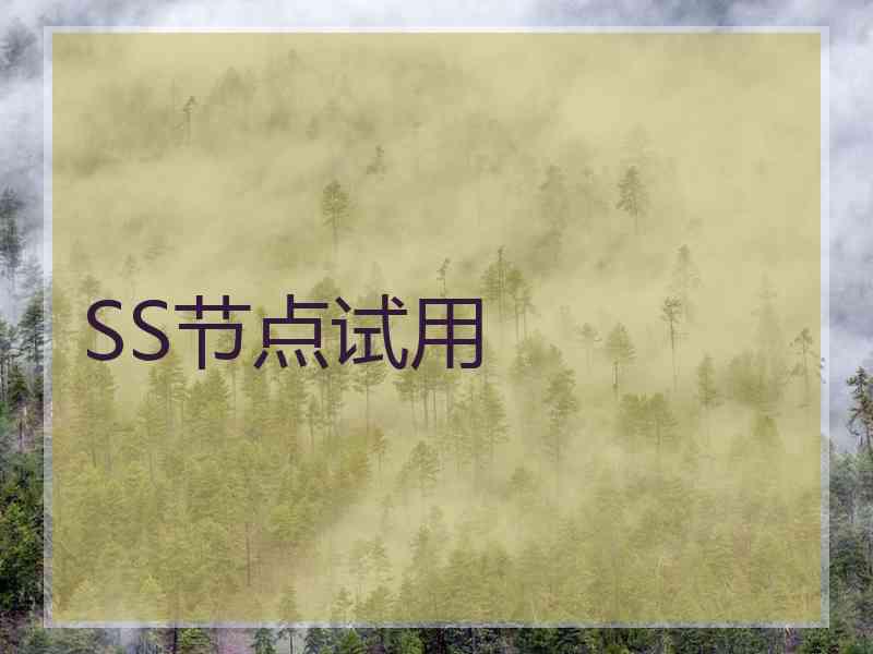 SS节点试用