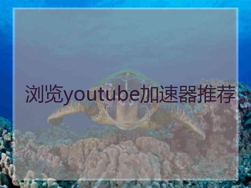浏览youtube加速器推荐