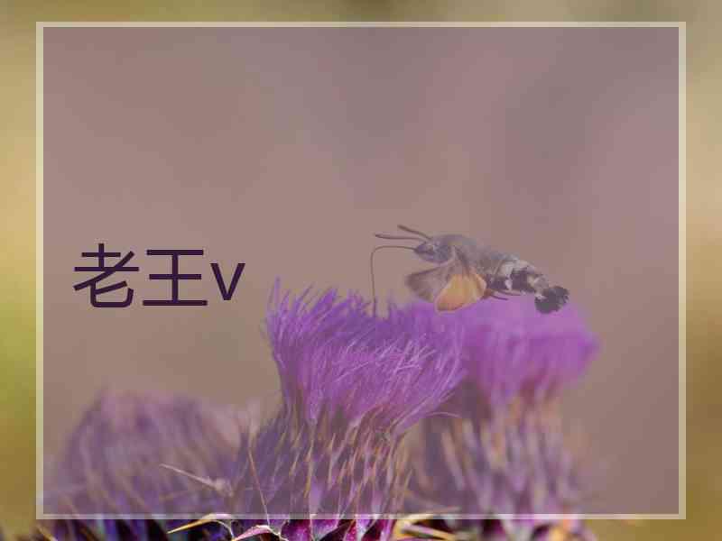 老王v