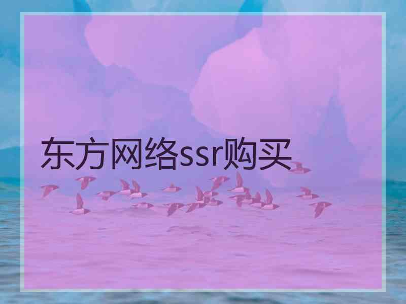 东方网络ssr购买
