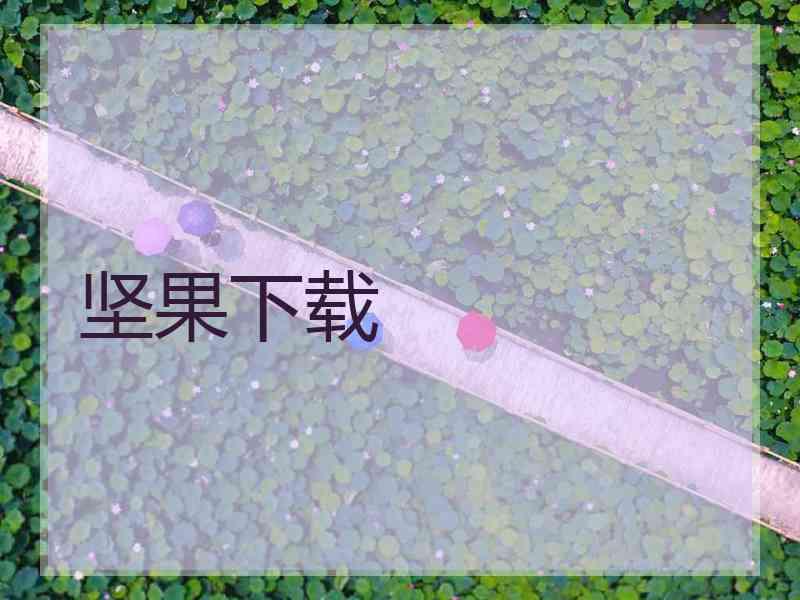坚果下载