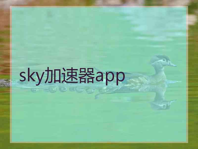 sky加速器app