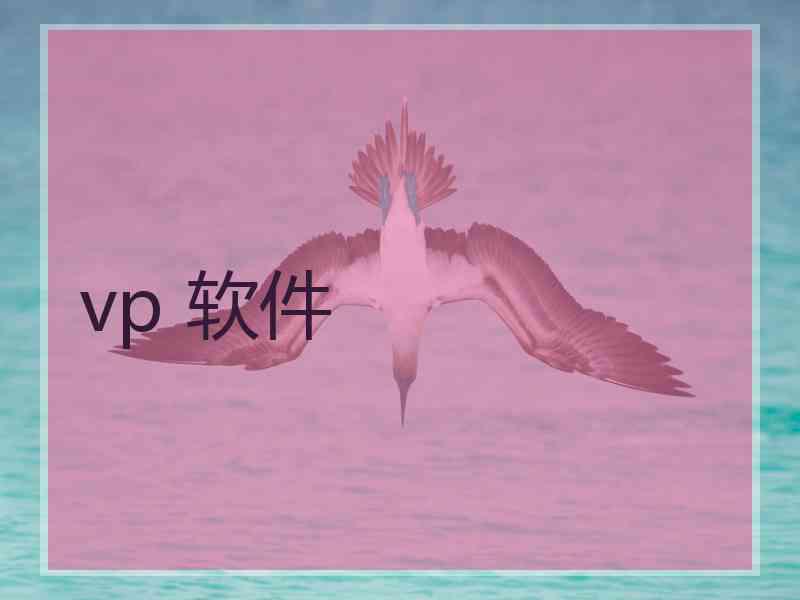 vp 软件