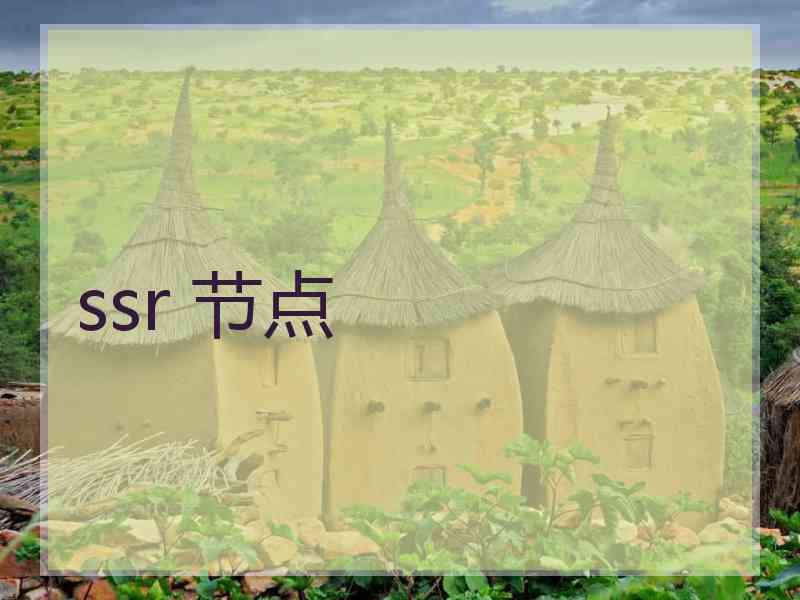 ssr 节点